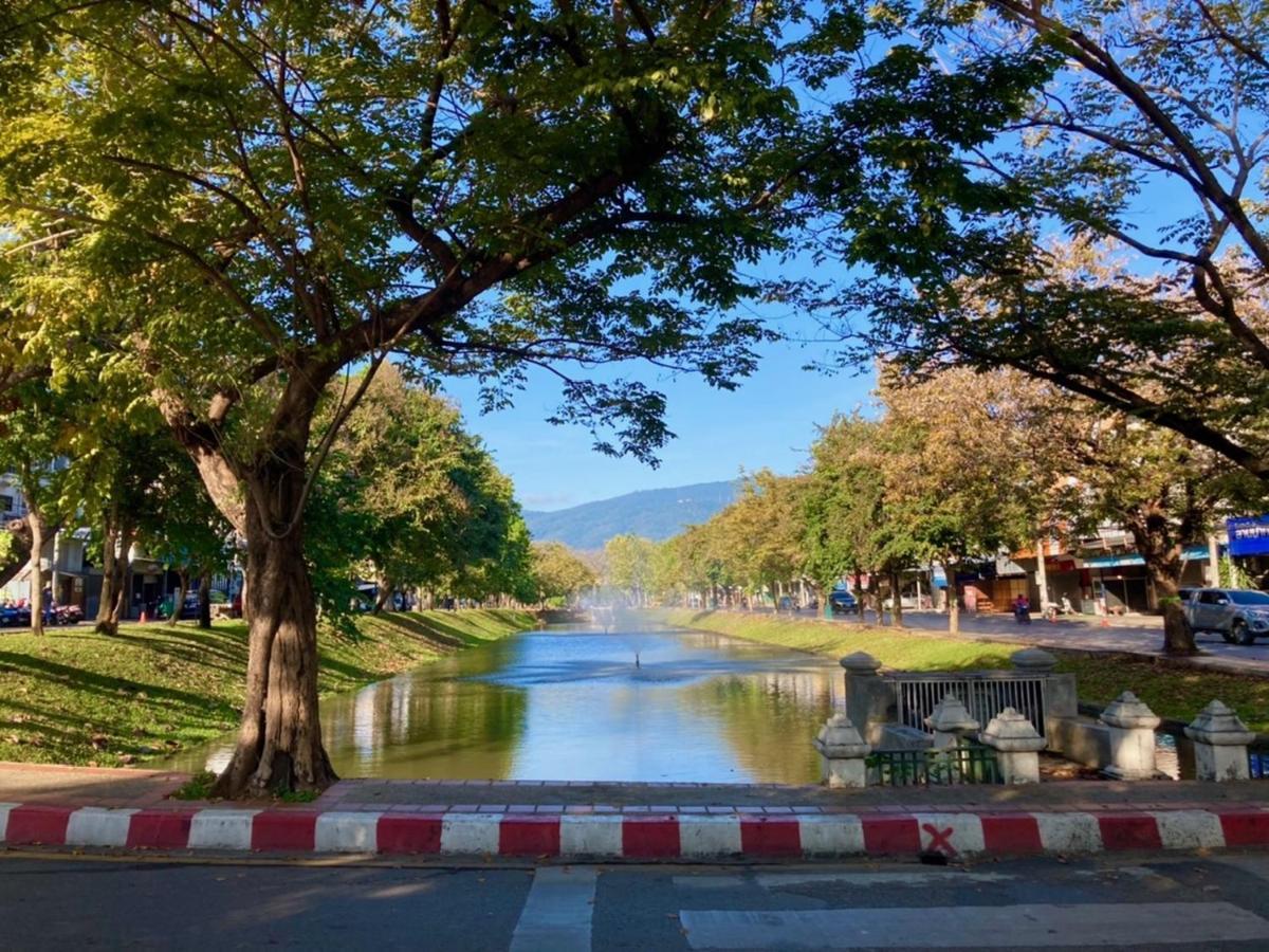 Hotel Triple Palms House Chiang Mai Zewnętrze zdjęcie